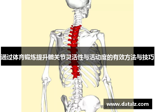 通过体育锻炼提升髋关节灵活性与活动度的有效方法与技巧